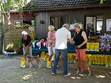 Golden Rabbit European Sandtrack-Derby Th. Ernst (233)